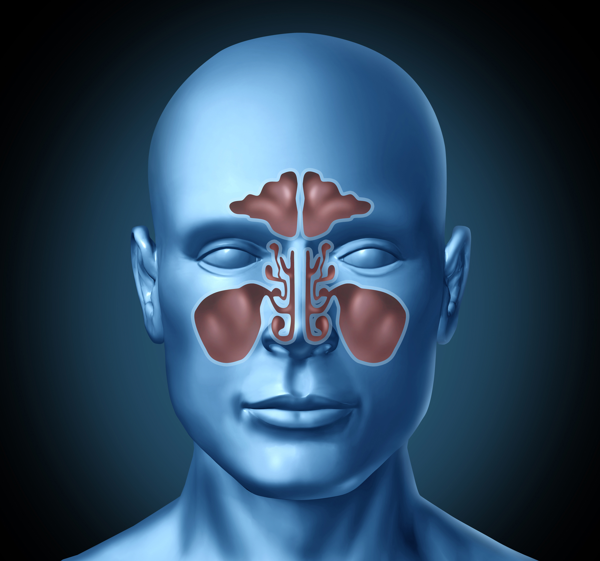 sinusitis-and-upper-cervical-chiropractic